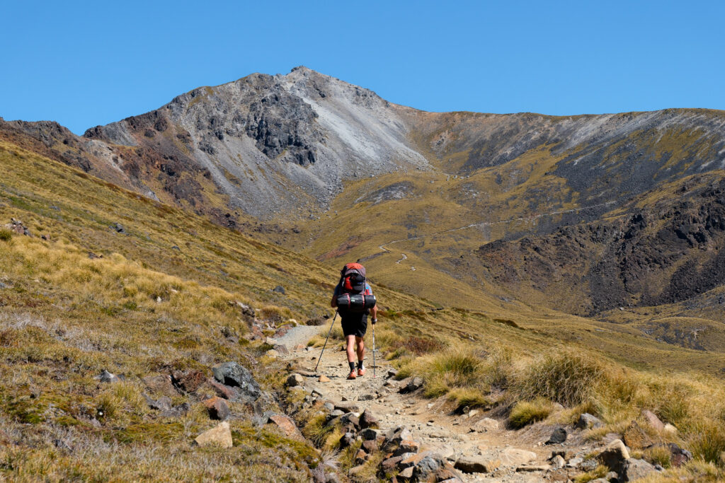 On the kepler track great walks of new zealand