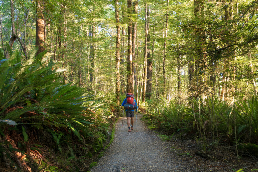 kepler track new zealand