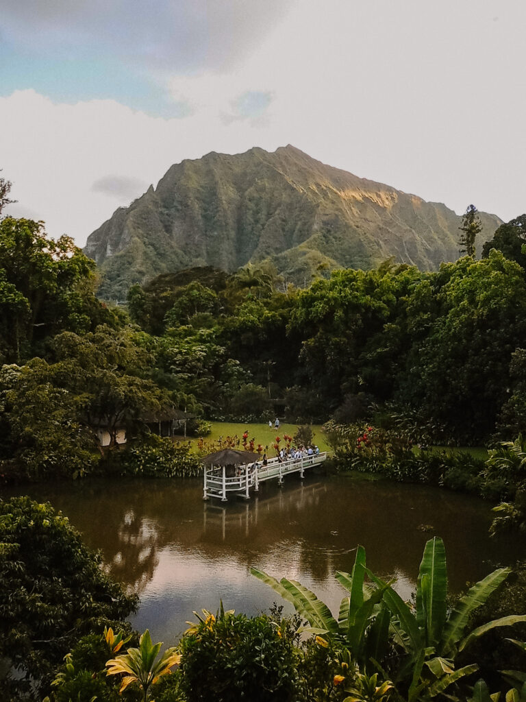 Fujifilm Instax Mini Evo Photo Project