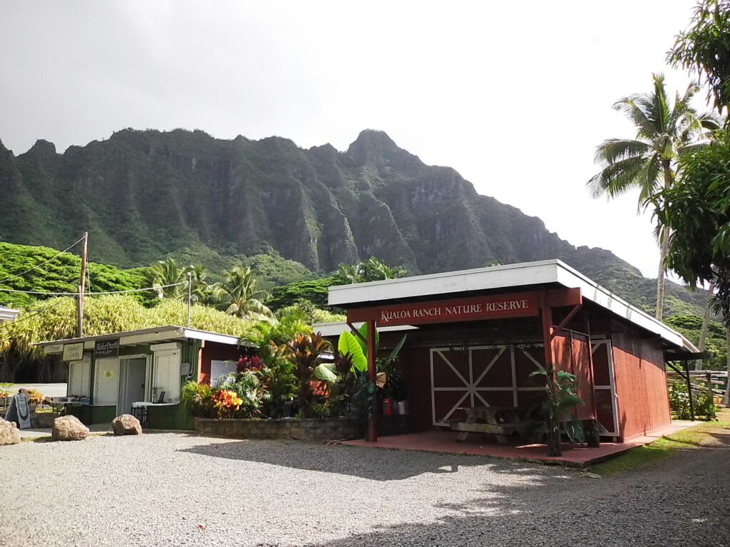 Fujifilm Instax Mini Evo Photo Project