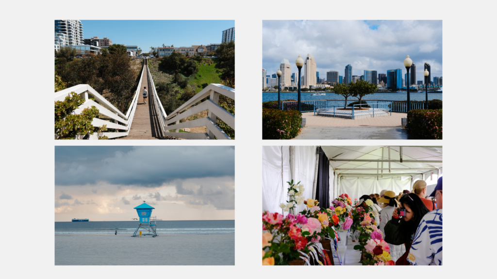 52-week-photo-challenge-pictures