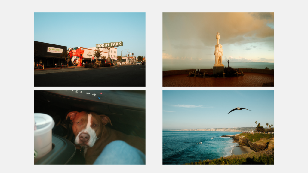 52-week-photo-challenge-pictures